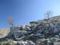 2026-04-18 Velino da S. Maria in Valle 036